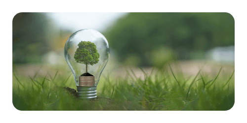 Growing Environmental Awareness